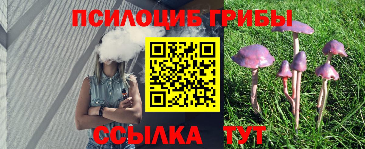 Галлюциногенные грибы GOLDEN TEACHER  Вход с VPN  закладка  Галлюциногенные грибы Magic Shrooms  Волхов 